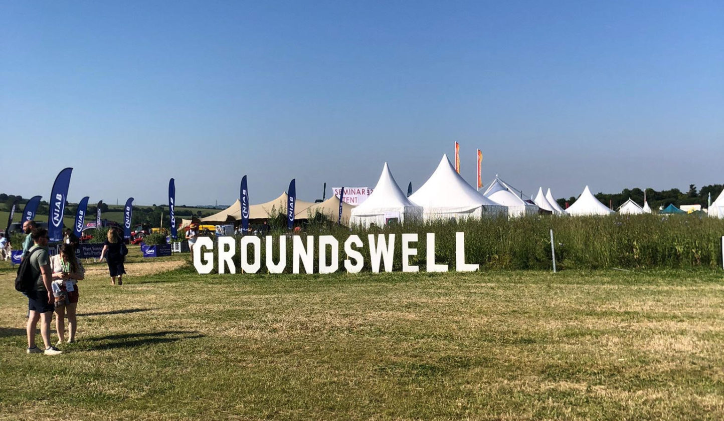 Groundswell